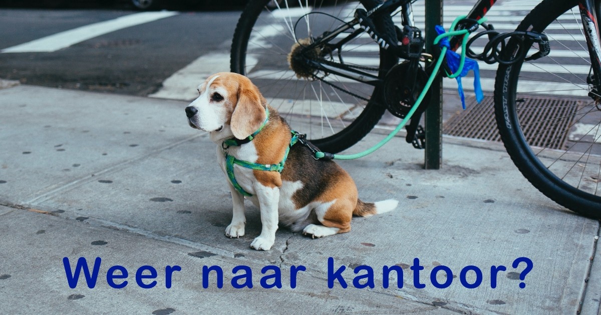20210602 Banner weer naar kantoor