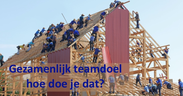 gezamenlijk teamdoel 2